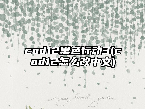 cod12黑色行动3(cod12怎么改中文)