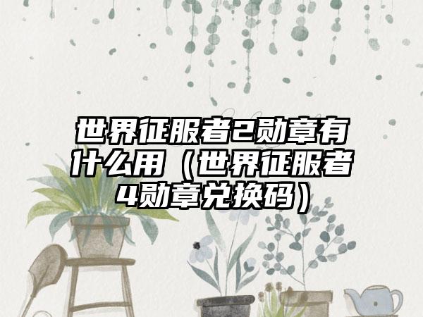 世界征服者2勋章有什么用（世界征服者4勋章兑换码）