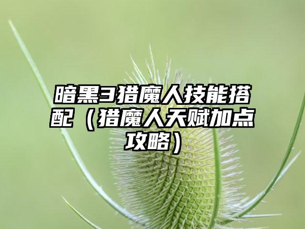 暗黑3猎魔人技能搭配（猎魔人天赋加点攻略）