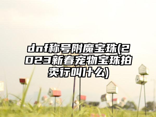 dnf称号附魔宝珠(2023新春宠物宝珠拍卖行叫什么)
