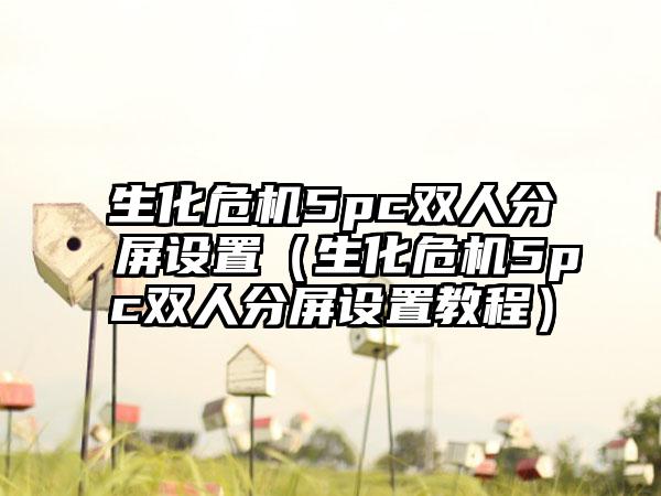 生化危机5pc双人分屏设置（生化危机5pc双人分屏设置教程）