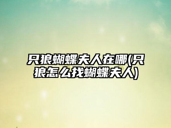 只狼蝴蝶夫人在哪(只狼怎么找蝴蝶夫人)
