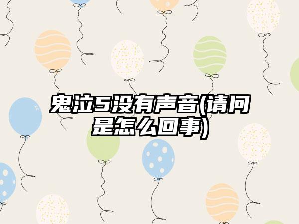 鬼泣5没有声音(请问是怎么回事)