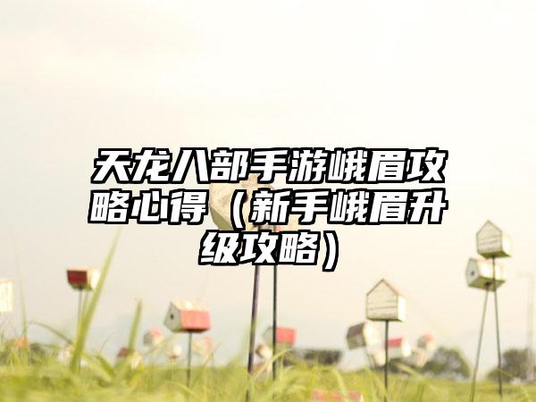 天龙八部手游峨眉攻略心得（新手峨眉升级攻略）