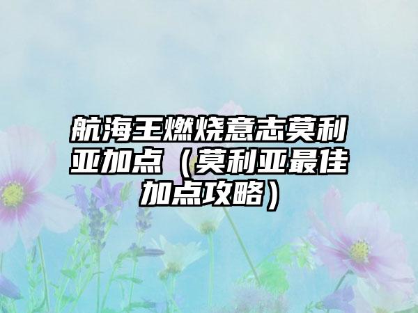 航海王燃烧意志莫利亚加点（莫利亚最佳加点攻略）