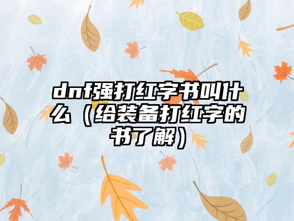 dnf强打红字书叫什么（给装备打红字的书了解）