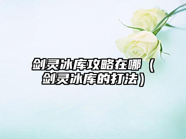 剑灵冰库攻略在哪（剑灵冰库的打法）