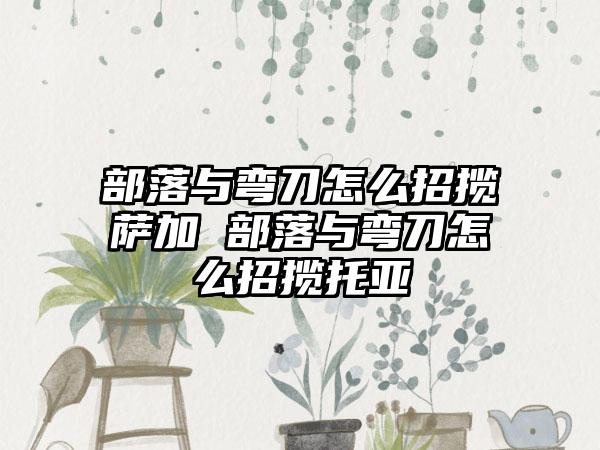 部落与弯刀怎么招揽萨加 部落与弯刀怎么招揽托亚