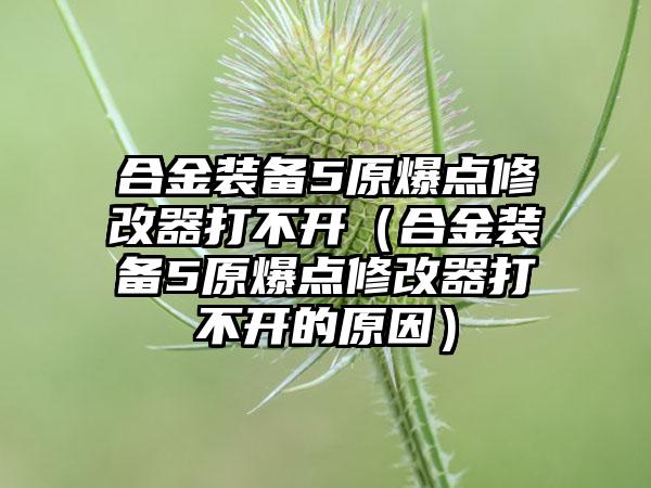 合金装备5原爆点修改器打不开（合金装备5原爆点修改器打不开的原因）