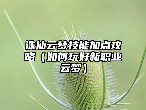 诛仙云梦技能加点攻略（如何玩好新职业云梦）