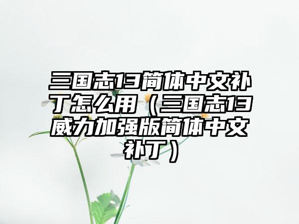 三国志13简体中文补丁怎么用（三国志13威力加强版简体中文补丁）