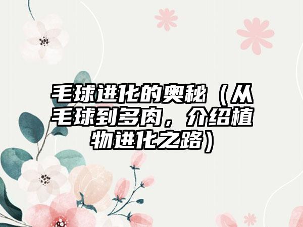 毛球进化的奥秘（从毛球到多肉，介绍植物进化之路）