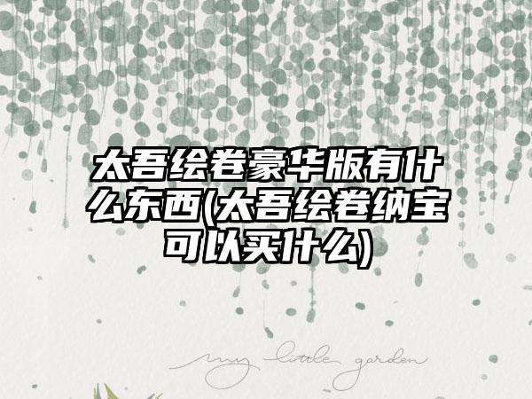 太吾绘卷豪华版有什么东西(太吾绘卷纳宝可以买什么)