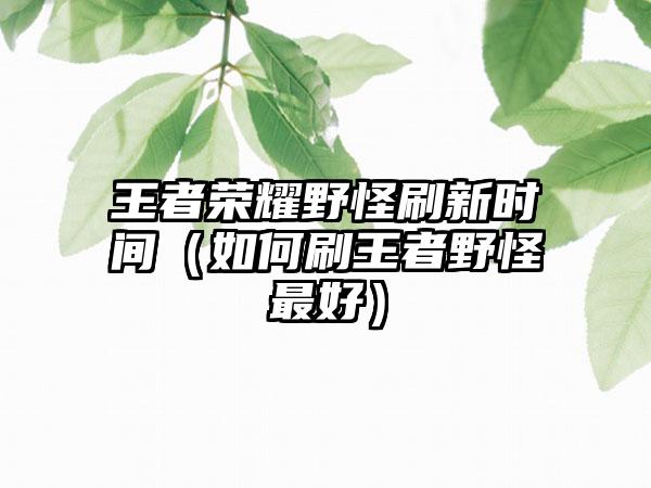 王者荣耀野怪刷新时间（如何刷王者野怪最好）