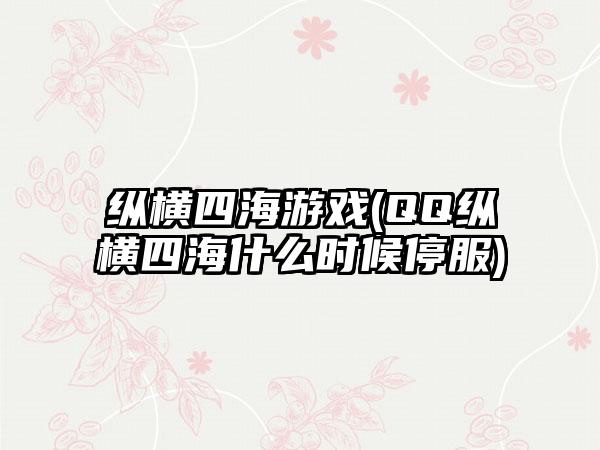 纵横四海游戏(QQ纵横四海什么时候停服)