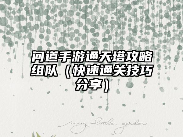 问道手游通天塔攻略组队（快速通关技巧分享）