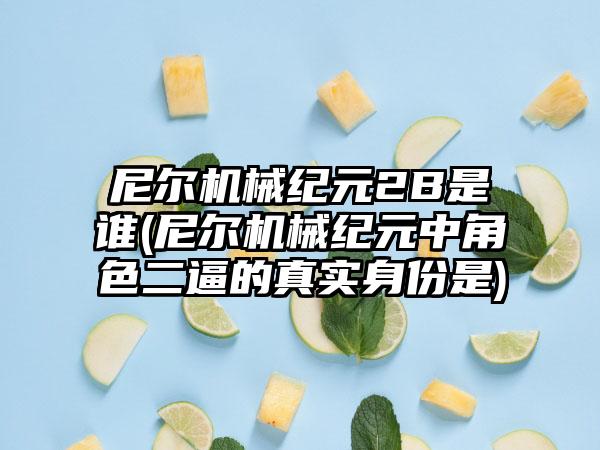 尼尔机械纪元2B是谁(尼尔机械纪元中角色二逼的真实身份是)