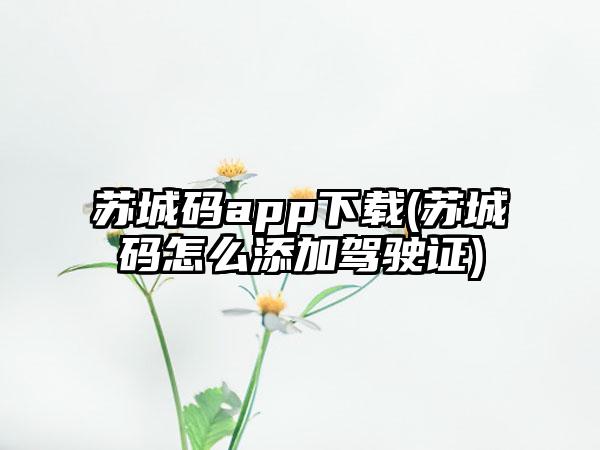 苏城码app(苏城码怎么添加驾驶证)