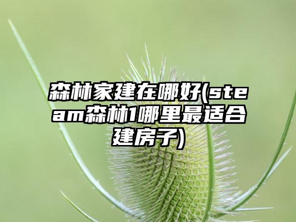 森林家建在哪好(steam森林1哪里最适合建房子)