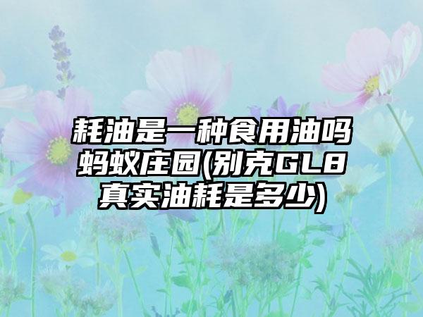 耗油是一种食用油吗蚂蚁庄园(别克GL8真实油耗是多少)