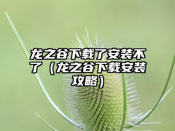 龙之谷了安装不了（龙之谷安装攻略）