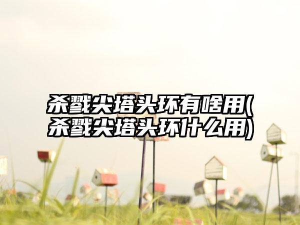 杀戮尖塔头环有啥用(杀戮尖塔头环什么用)