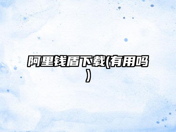 阿里钱盾(有用吗)