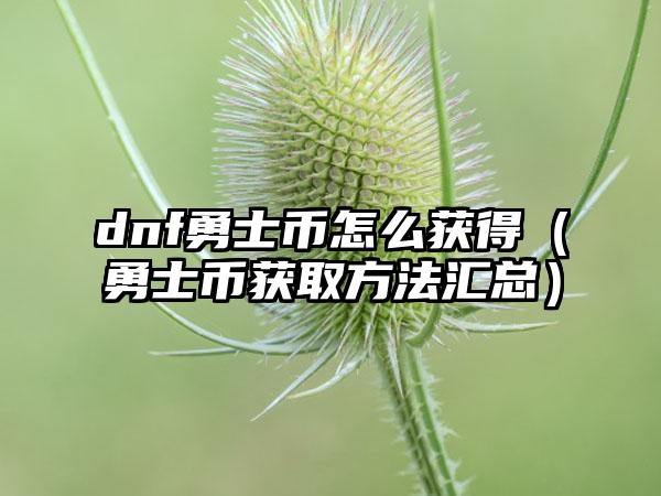 dnf勇士币怎么获得（勇士币获取方法汇总）