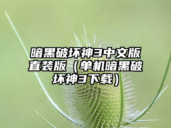 暗黑破坏神3中文版直装版（单机暗黑破坏神3）