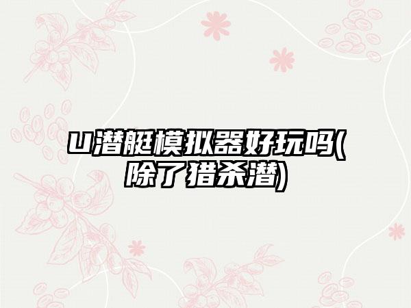 U潜艇模拟器好玩吗(除了猎杀潜)