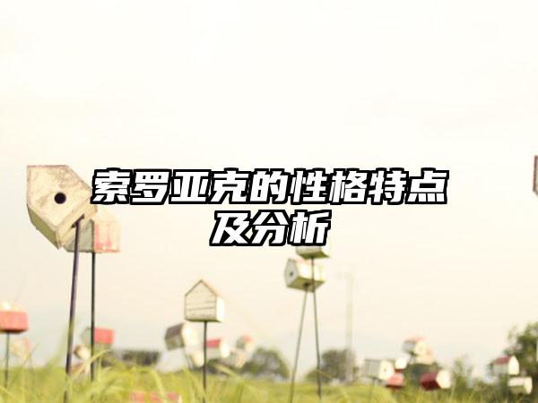 索罗亚克的性格特点及分析