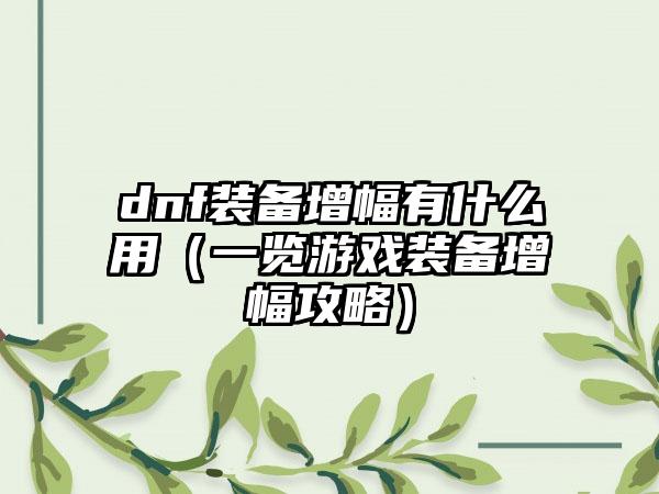 dnf装备增幅有什么用（一览游戏装备增幅攻略）