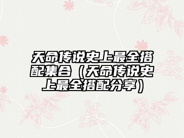 天命传说史上最全搭配集合（天命传说史上最全搭配分享）