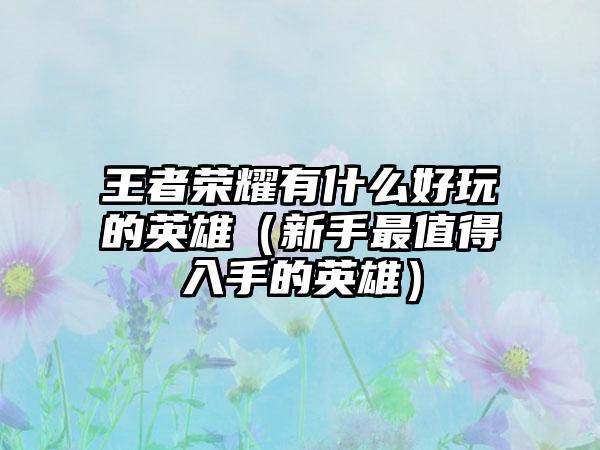 王者荣耀有什么好玩的英雄（新手最值得入手的英雄）