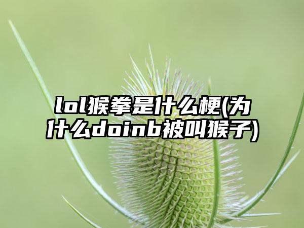 lol猴拳是什么梗(为什么doinb被叫猴子)
