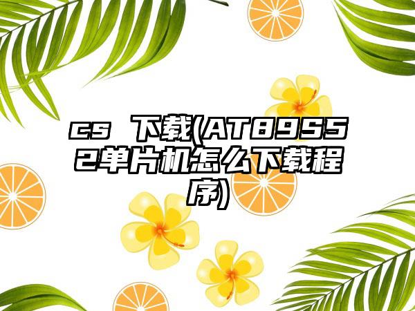 cs (AT89S52单片机怎么程序)