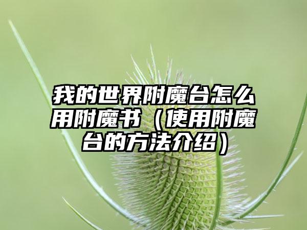 我的世界附魔台怎么用附魔书（使用附魔台的方法介绍）