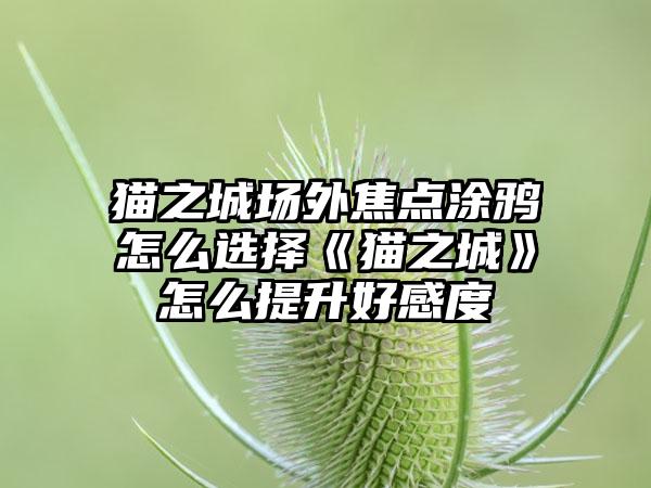 猫之城场外焦点涂鸦怎么选择《猫之城》怎么提升好感度