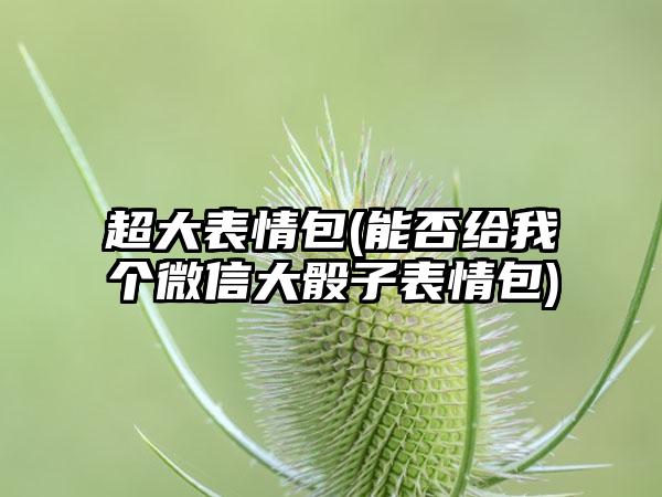 超大表情包(能否给我个微信大骰子表情包)