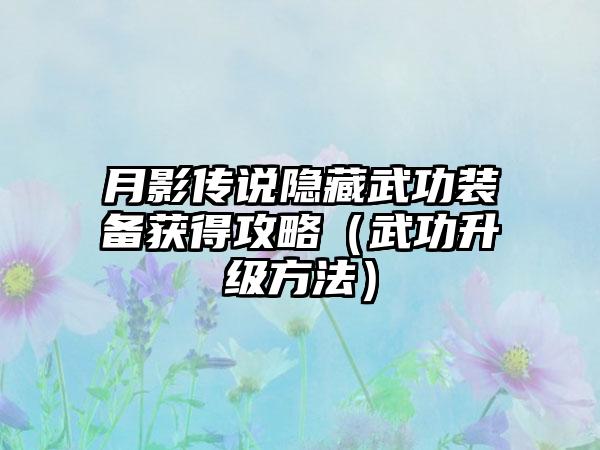 月影传说隐藏武功装备获得攻略（武功升级方法）