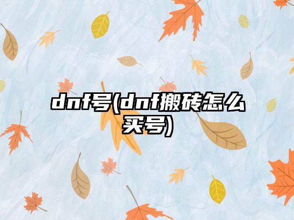 dnf号(dnf搬砖怎么买号)