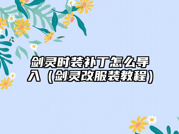 剑灵时装补丁怎么导入（剑灵改服装教程）