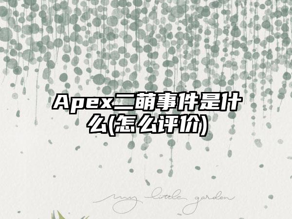 Apex二萌事件是什么(怎么评价)