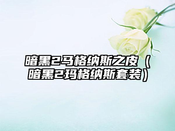 暗黑2马格纳斯之皮（暗黑2玛格纳斯套装）