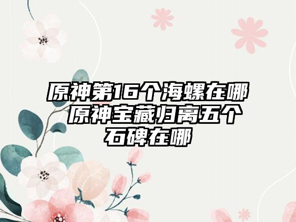 原神第16个海螺在哪 原神宝藏归离五个石碑在哪