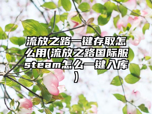 流放之路一键存取怎么用(流放之路国际服steam怎么一键入库)