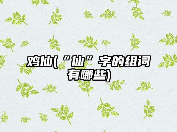 鸡仙(“仙”字的组词有哪些)