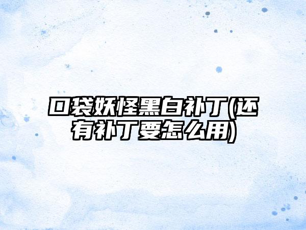 口袋妖怪黑白补丁(还有补丁要怎么用)