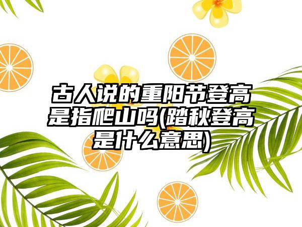 古人说的重阳节登高是指爬山吗(踏秋登高是什么意思)