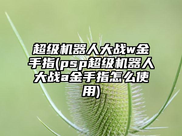 超级机器人大战w金手指(psp超级机器人大战a金手指怎么使用)